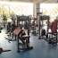 Бицепс Aerofit IT9303 - Бицепс Aerofit IT9303