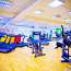 Бицепс Aerofit IT9303 - Бицепс Aerofit IT9303