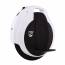 Моноколесо FireWheel F260 - Моноколесо FireWheel F260