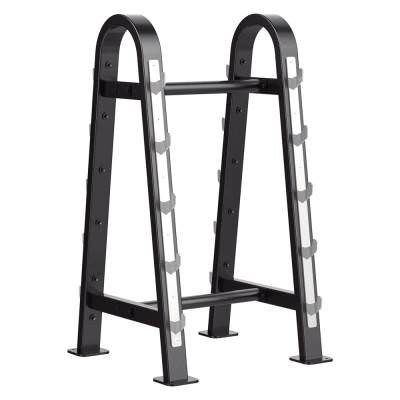Стойка для штанг Aerofit SL7027 Стойкий и крепкий конструктив предназначен для удерживания одновременно десяти штанг.

Основой прочной структуры являются трубы из стали. Данные профиля: 5,0&times;10,0&times;0,25 см.
